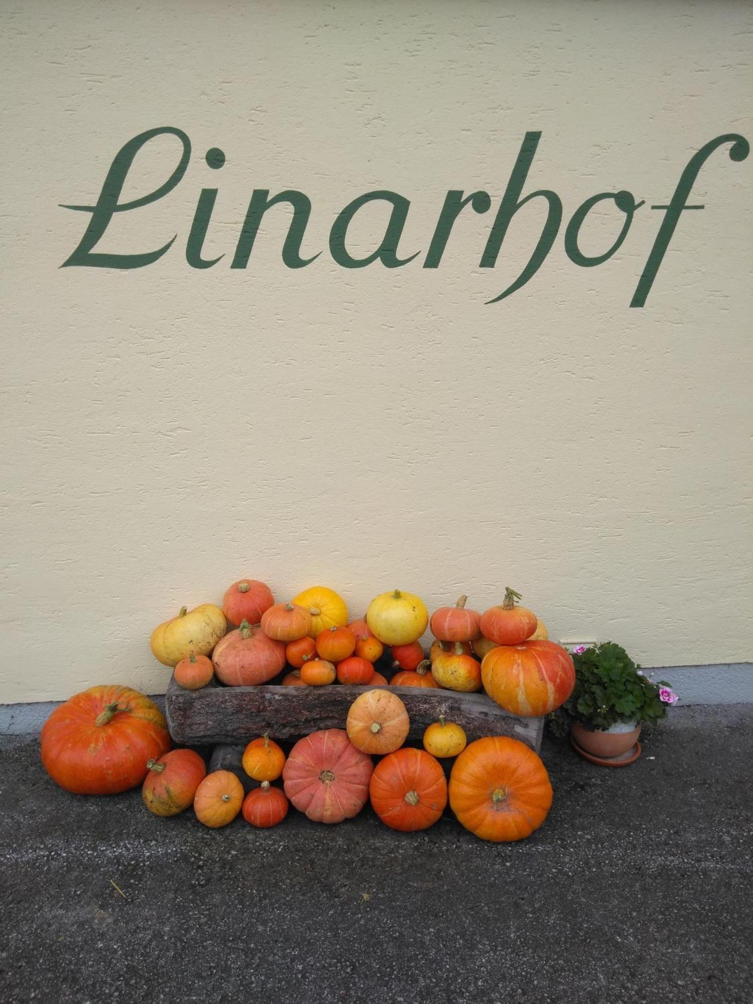 Linarhof Apartment Urlaub Am Bio Bauernhof Haus im Ennstal Exterior foto